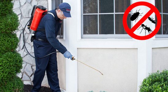 Divriği Karınca İlaçlama böcek ilaçlama ve haşere kontrolü — ilaclama-tr.com